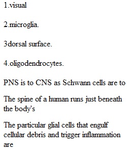 Quiz 2